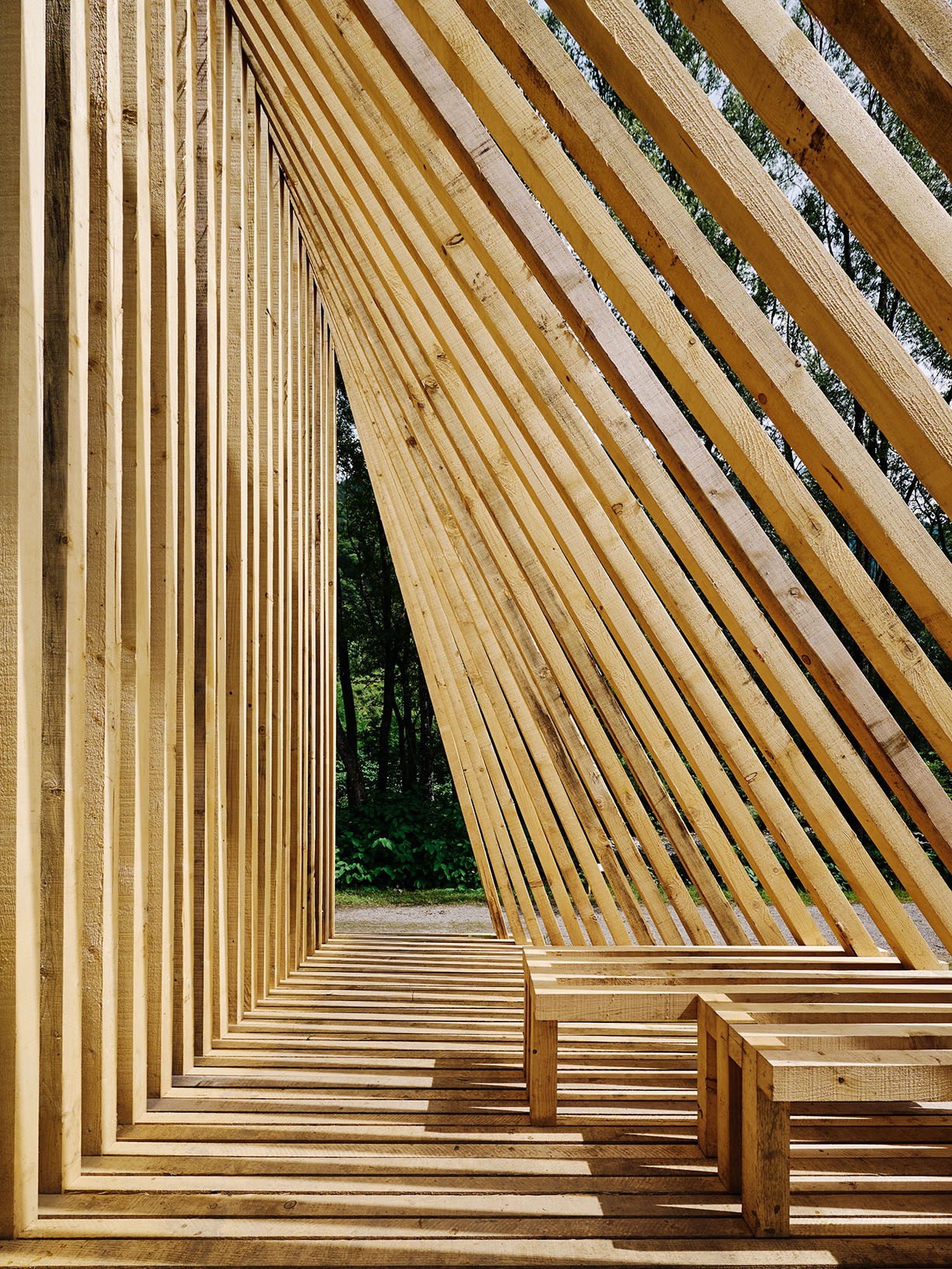 Interior of a timber pavilion with integrated seating, filtered daylight, and rhythmic shadow patterns.